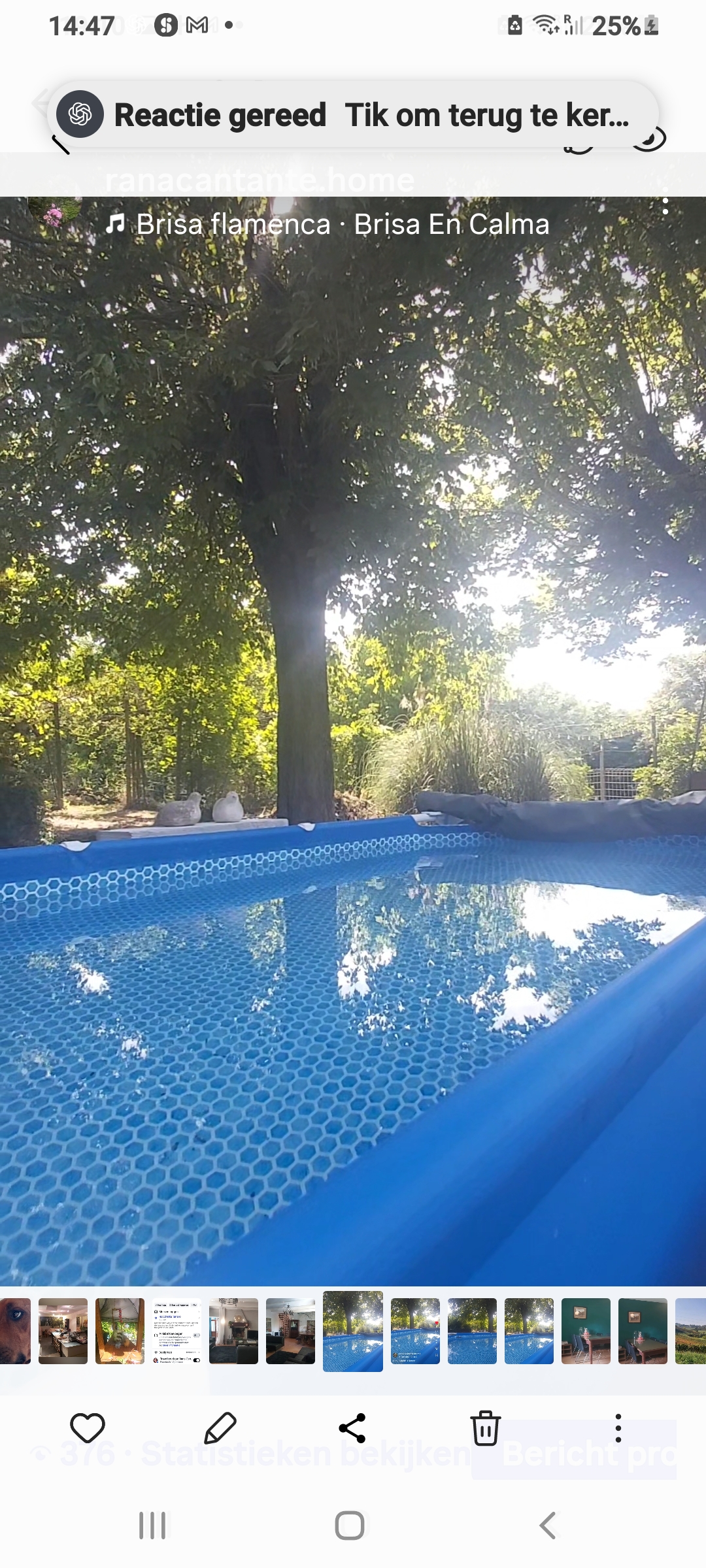 Dip in the Pool